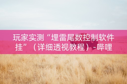 玩家实测“埋雷尾数控制软件挂”（详细透视教程）-哔哩哔哩