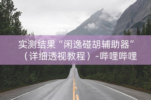 实测结果“闲逸碰胡辅助器”（详细透视教程）-哔哩哔哩