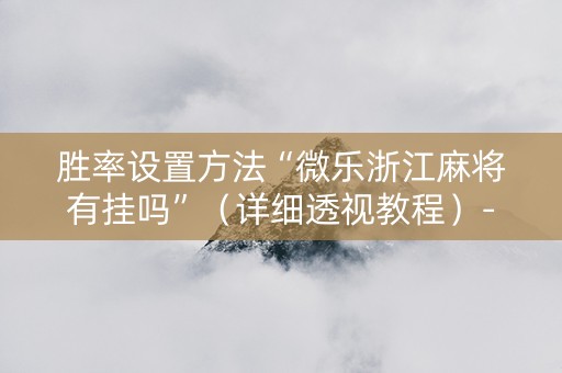 胜率设置方法“微乐浙江麻将有挂吗”（详细透视教程）-哔哩哔哩