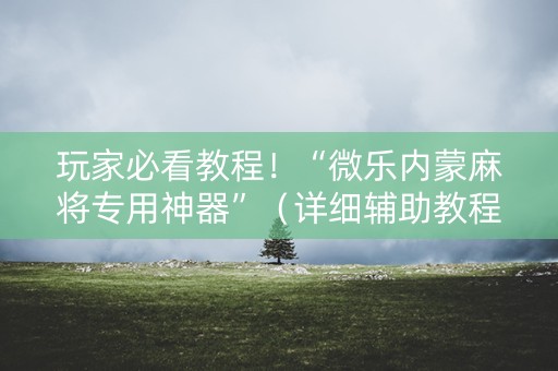 玩家必看教程！“微乐内蒙麻将专用神器”（详细辅助教程）-哔哩哔哩