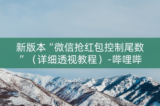 新版本“微信抢红包控制尾数”（详细透视教程）-哔哩哔哩