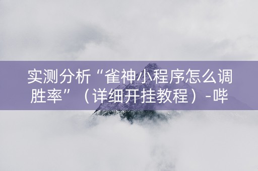 实测分析“雀神小程序怎么调胜率”（详细开挂教程）-哔哩哔哩