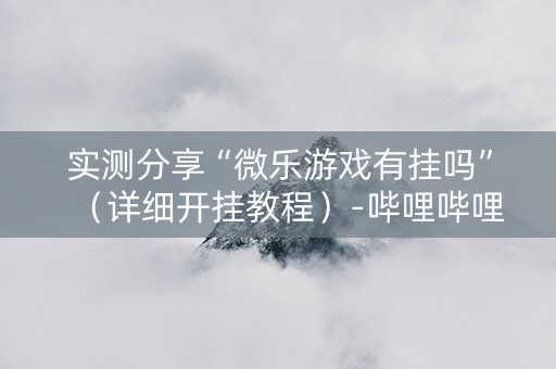 实测分享“微乐游戏有挂吗”（详细开挂教程）-哔哩哔哩