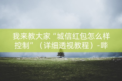 我来教大家“城信红包怎么样控制”（详细透视教程）-哔哩哔哩