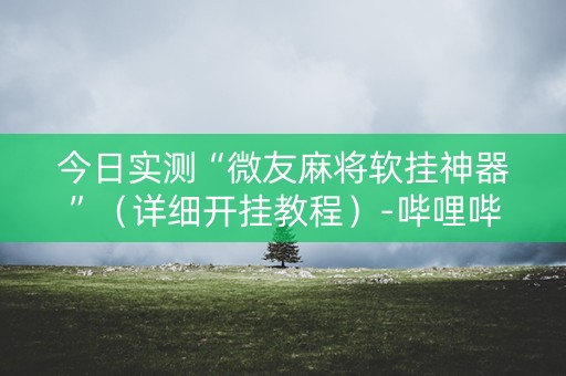 今日实测“微友麻将软挂神器”（详细开挂教程）-哔哩哔哩