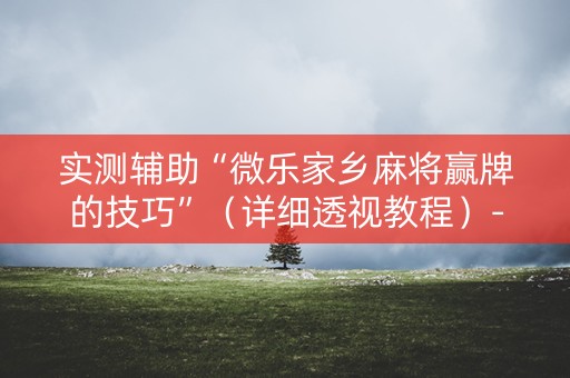 实测辅助“微乐家乡麻将赢牌的技巧”（详细透视教程）-哔哩哔哩