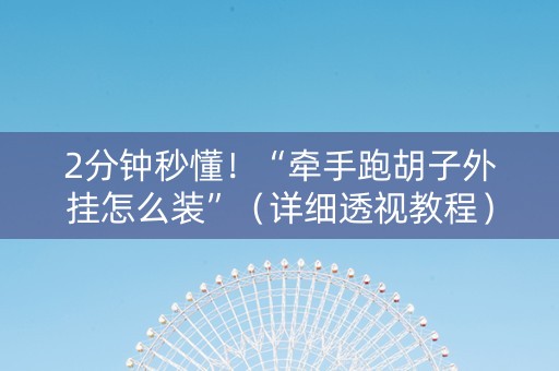 2分钟秒懂！“牵手跑胡子外挂怎么装”（详细透视教程）-哔哩哔哩