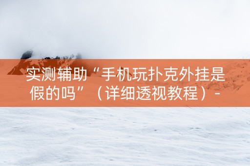 实测辅助“手机玩扑克外挂是假的吗”（详细透视教程）-哔哩哔哩