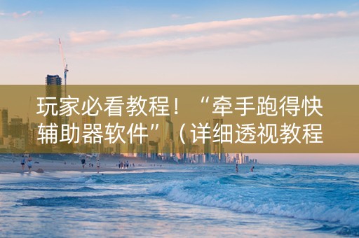 玩家必看教程！“牵手跑得快辅助器软件”（详细透视教程）-哔哩哔哩