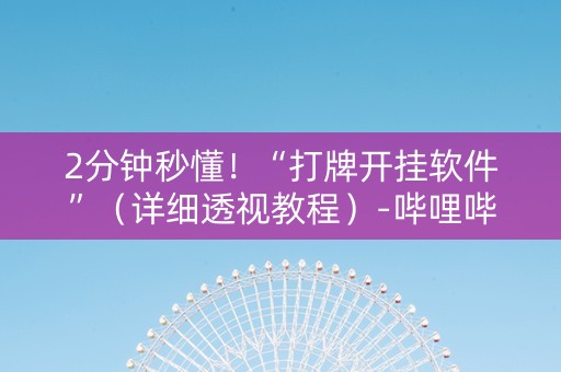 2分钟秒懂！“打牌开挂软件”（详细透视教程）-哔哩哔哩