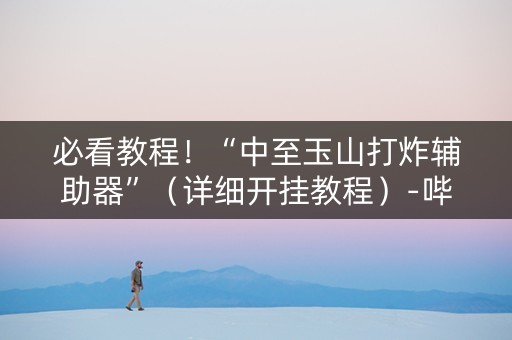 必看教程！“中至玉山打炸辅助器”（详细开挂教程）-哔哩哔哩