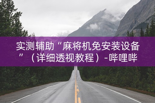 实测辅助“麻将机免安装设备”（详细透视教程）-哔哩哔哩