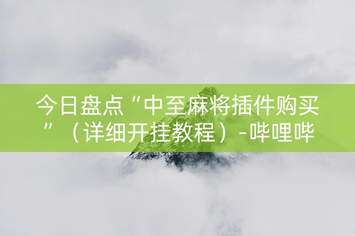 今日盘点“中至麻将插件购买”（详细开挂教程）-哔哩哔哩