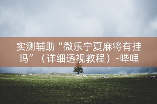 实测辅助“微乐宁夏麻将有挂吗”（详细透视教程）-哔哩哔哩