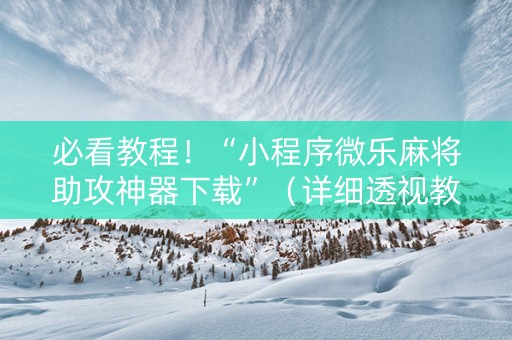 必看教程！“小程序微乐麻将助攻神器下载”（详细透视教程）-哔哩哔哩