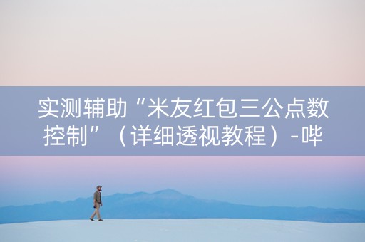 实测辅助“米友红包三公点数控制”（详细透视教程）-哔哩哔哩