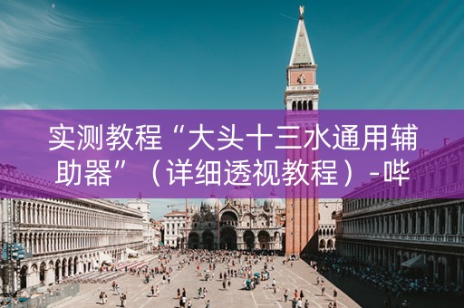 实测教程“大头十三水通用辅助器”（详细透视教程）-哔哩哔哩