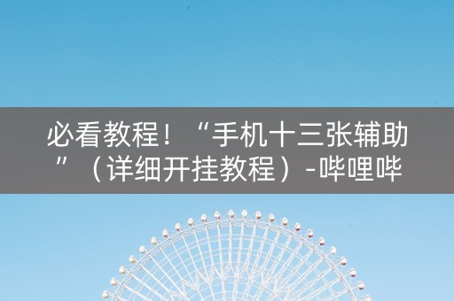 必看教程！“手机十三张辅助”（详细开挂教程）-哔哩哔哩