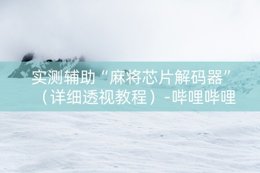 实测辅助“麻将芯片解码器”（详细透视教程）-哔哩哔哩