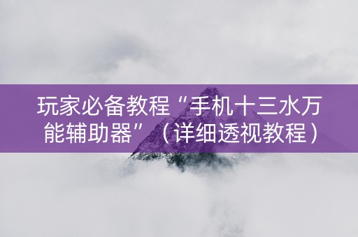 玩家必备教程“手机十三水万能辅助器”（详细透视教程）-哔哩哔哩