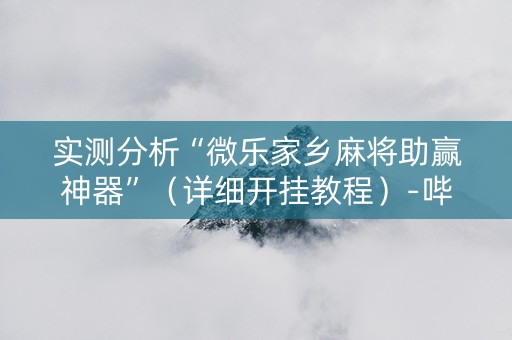 实测分析“微乐家乡麻将助赢神器”（详细开挂教程）-哔哩哔哩