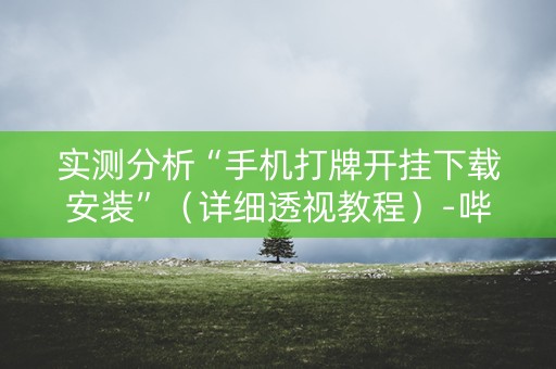 实测分析“手机打牌开挂下载安装”（详细透视教程）-哔哩哔哩
