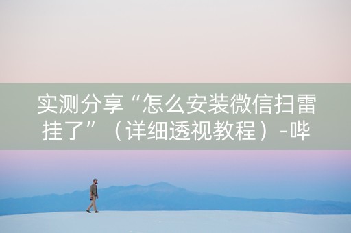 实测分享“怎么安装微信扫雷挂了”（详细透视教程）-哔哩哔哩