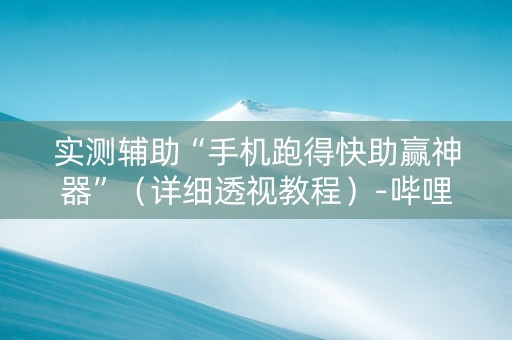 实测辅助“手机跑得快助赢神器”（详细透视教程）-哔哩哔哩