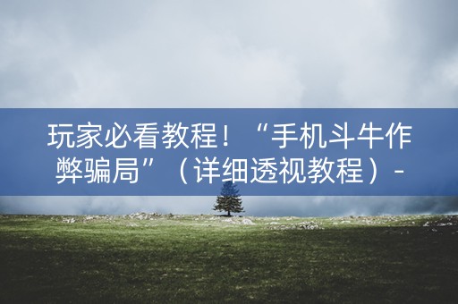 玩家必看教程！“手机斗牛作弊骗局”（详细透视教程）-哔哩哔哩