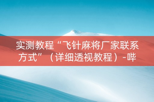 实测教程“飞针麻将厂家联系方式”（详细透视教程）-哔哩哔哩