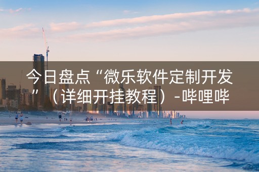 今日盘点“微乐软件定制开发”（详细开挂教程）-哔哩哔哩