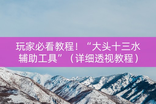 玩家必看教程！“大头十三水辅助工具”（详细透视教程）-哔哩哔哩