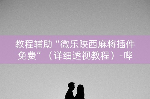 教程辅助“微乐陕西麻将插件免费”（详细透视教程）-哔哩哔哩
