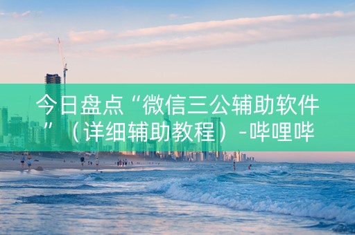 今日盘点“微信三公辅助软件”（详细辅助教程）-哔哩哔哩