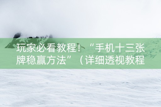 玩家必看教程！“手机十三张牌稳赢方法”（详细透视教程）-哔哩哔哩