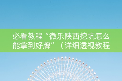 必看教程“微乐陕西挖坑怎么能拿到好牌”（详细透视教程）-哔哩哔哩