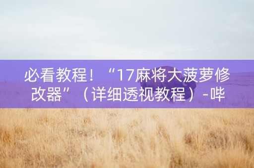 必看教程！“17麻将大菠萝修改器”（详细透视教程）-哔哩哔哩