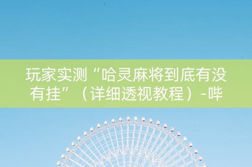 玩家实测“哈灵麻将到底有没有挂”（详细透视教程）-哔哩哔哩