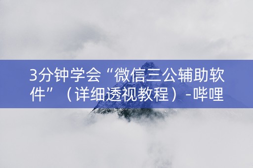 3分钟学会“微信三公辅助软件”（详细透视教程）-哔哩哔哩