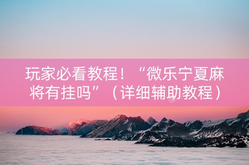 玩家必看教程！“微乐宁夏麻将有挂吗”（详细辅助教程）-哔哩哔哩