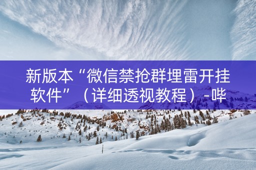 新版本“微信禁抢群埋雷开挂软件”（详细透视教程）-哔哩哔哩