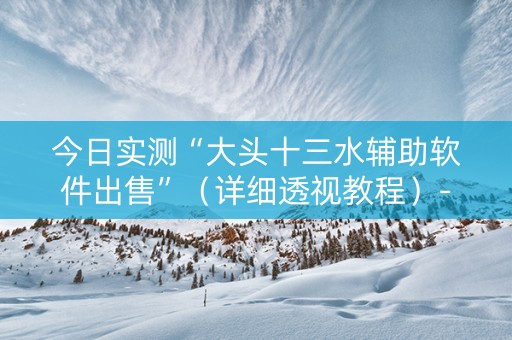 今日实测“大头十三水辅助软件出售”（详细透视教程）-哔哩哔哩