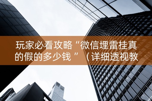 玩家必看攻略“微信埋雷挂真的假的多少钱 ”（详细透视教程）-哔哩哔哩