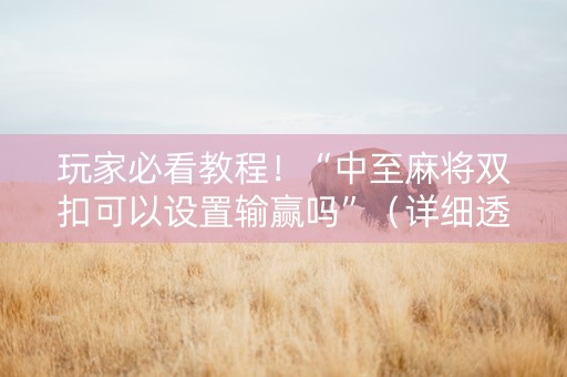 玩家必看教程！“中至麻将双扣可以设置输赢吗”（详细透视教程）-哔哩哔哩