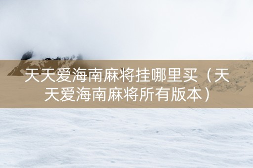 天天爱海南麻将挂哪里买（天天爱海南麻将所有版本）