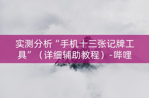 实测分析“手机十三张记牌工具”（详细辅助教程）-哔哩哔哩