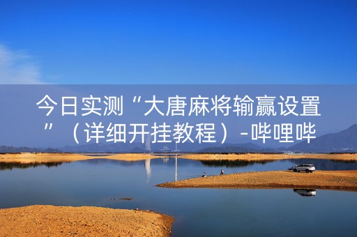 今日实测“大唐麻将输赢设置”（详细开挂教程）-哔哩哔哩