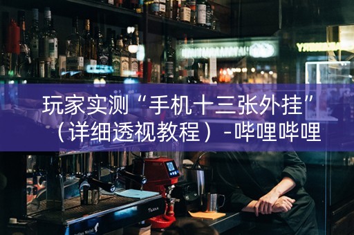 玩家实测“手机十三张外挂”（详细透视教程）-哔哩哔哩