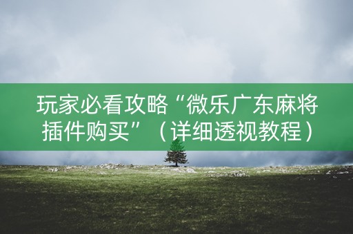 玩家必看攻略“微乐广东麻将插件购买”（详细透视教程）-哔哩哔哩
