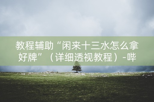 教程辅助“闲来十三水怎么拿好牌”（详细透视教程）-哔哩哔哩